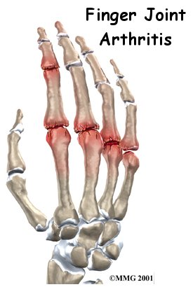 hand_finger_joint_intro01