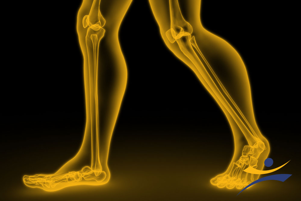 Does knee cartilage grow back?