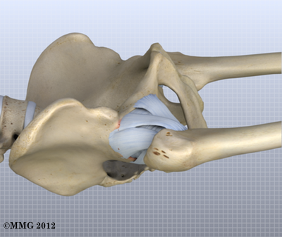 THR_Anterior_Capsule_10