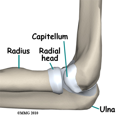 adult_elbow_fx_radial_head_amatomy01