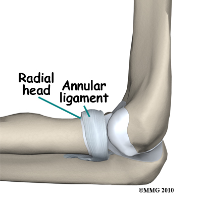 adult_elbow_fx_radial_head_anatomy02