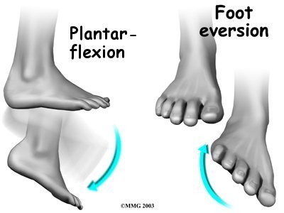 ankle_peroneal_sublux_anat03