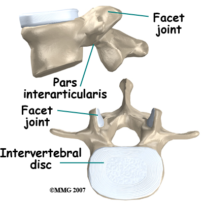 child_back_pain_anatomy01