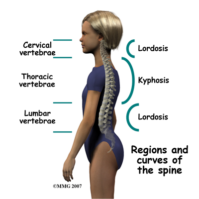 child_back_pain_anatomy02