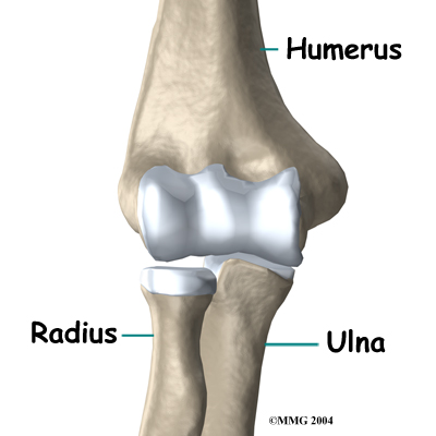 child_elbow_dislocate_anatomy01