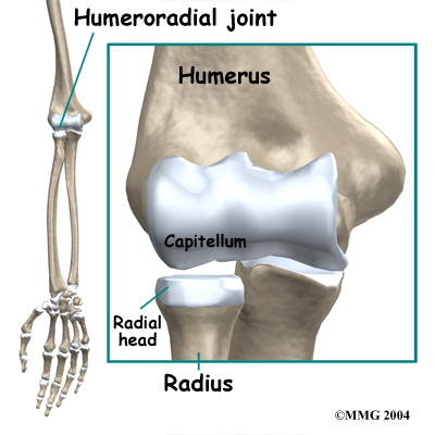 child_elbow_panners_anatomy01
