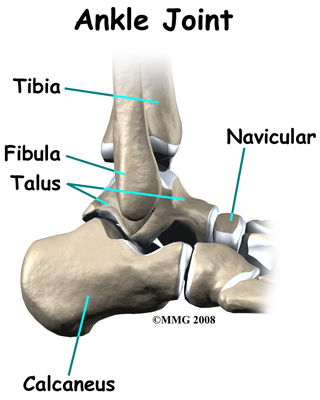 child_flatfoot_anat01