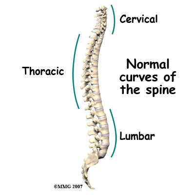 child_scoliosis_anatomy01