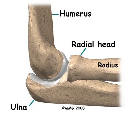 elbow_dislocation_anatomy01