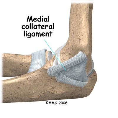 elbow_dislocation_anatomy03