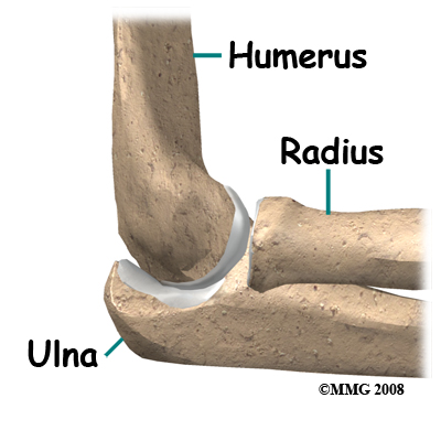 elbow_ucl_injury_anatomy01