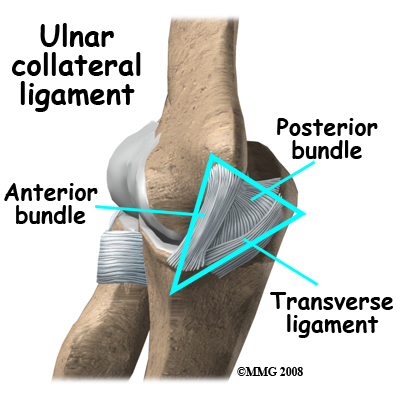 elbow_ucl_injury_anatomy03