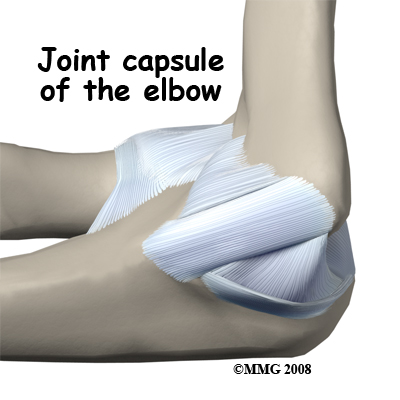 elbow_uclr_anatomy01