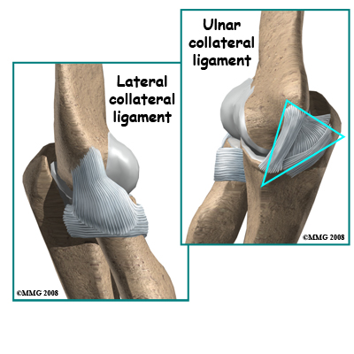 elbow_uclr_anatomy02