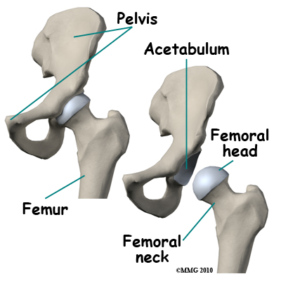 hip_arthroscopy_anatomy_bones01