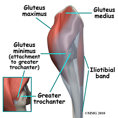 hip_arthroscopy_anatomy_muscles