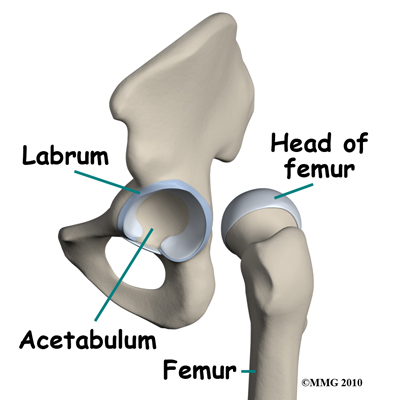 hip_labral_tear_bones01