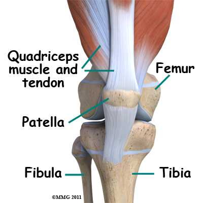 Central Orthopedic GroupBipartite Patellar in Children - Central ...