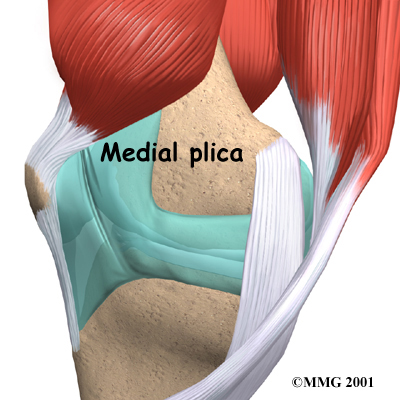 knee_plica_anatomy01
