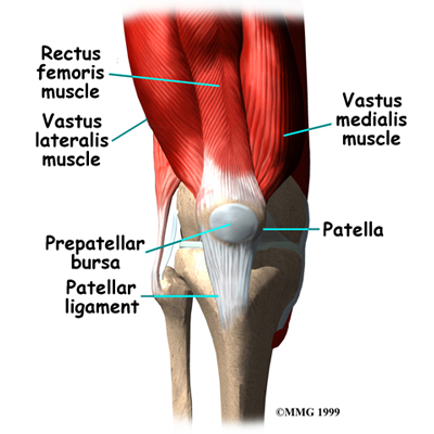 knee_prepatellar_anatomy_01
