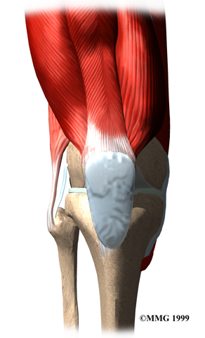 knee_prepatellar_synptoms01