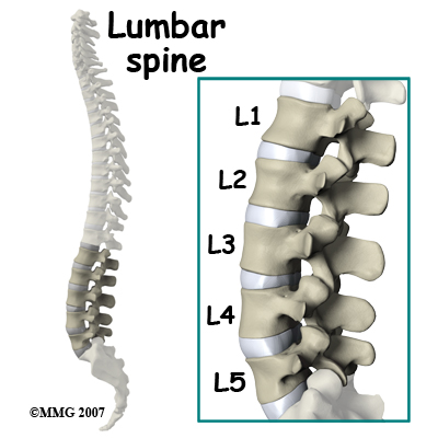 lumbar_ADR_anatomy01