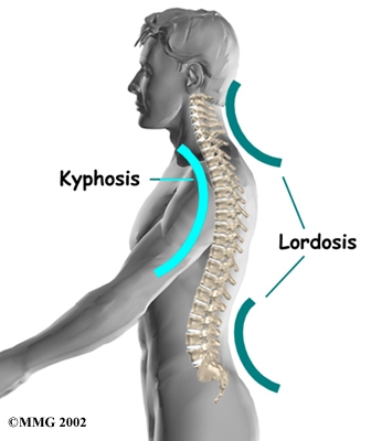 lumbar_anatomy02