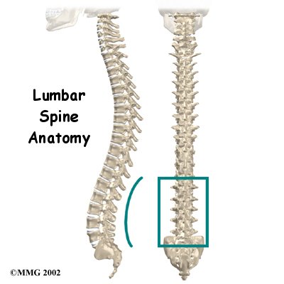 lumbar_anatomy_intro01