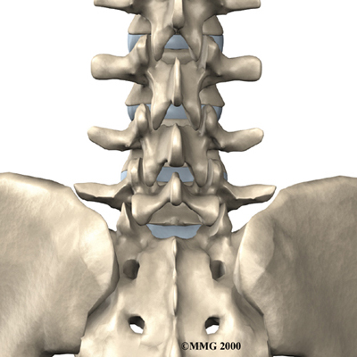 lumbar_facet_arthritis_anatomy01