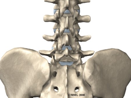 lumbar_posterior_fusion_anatomy01