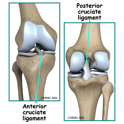 Patients Archive | Central Orthopedic Group