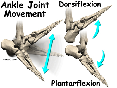 plantarflexion_dorsiflexion