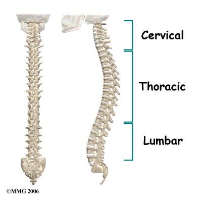 pm_general_fji_anatomy01