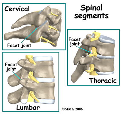 pm_general_fji_anatomy02