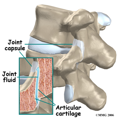 pm_general_fji_anatomy03