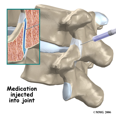 pm_general_fji_anatomy04