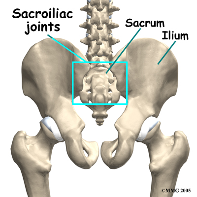 pm_general_si_inj_anatomy01