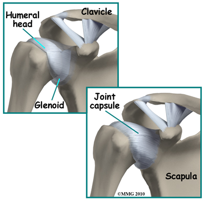 shoulder_arthroscopy_anatomy_ligaments01