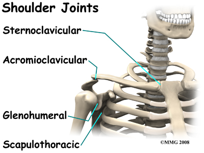shoulder_dislocation_anatomy03