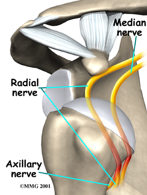 shoulder_instability_symptoms01