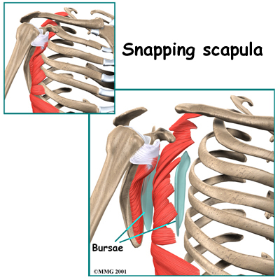 shoulder_snap_intro01