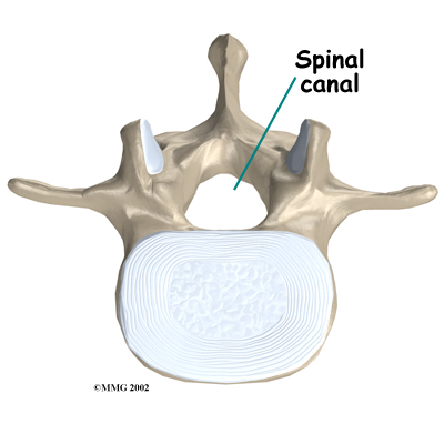 spinal_stim_anatomy02