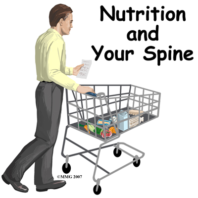 spine_general_nutrition_intro01