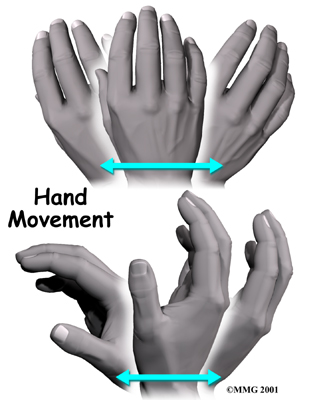 wrist_ligamentous_anat05