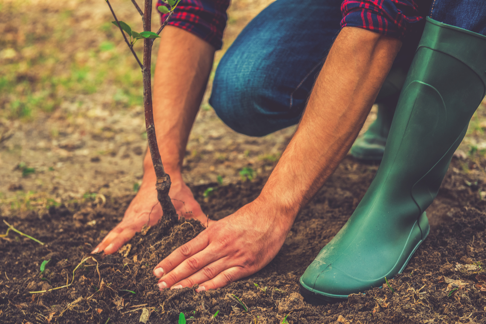 Common Injuries While Gardening.